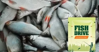 Fish Drive активатор клёва для всех видов рыб: поможет ловить больше всех, быстрее всех, крупнее всех!