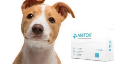 Anitox средство от паразитов для животных: и ваших домашних любимцев никогда не коснется заражение!