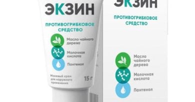 Экзин