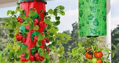 Подвесная грядка-плантация Здоровый Урожай. Обзор средства, преимущества, отзывы